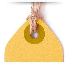 Suivre les opérations et l’organisation 